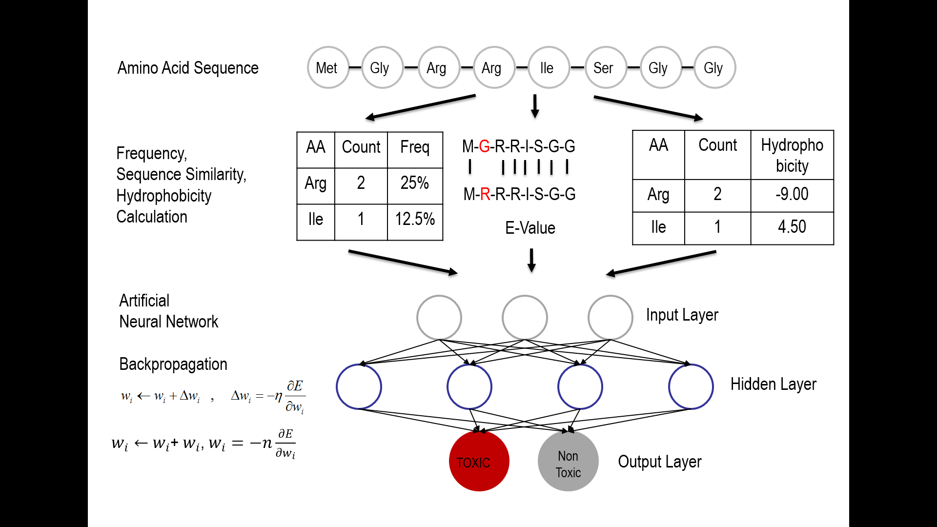 Protein Toxicity